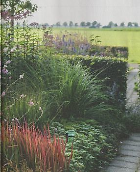 De weelde van stilte - Het Tuinpad Op / In Nachbars Garten