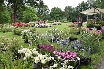 Groenmarkt in Winschoten - Het Tuinpad Op / In Nachbars Garten