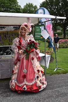 Groenmarkt in Winschoten - Het Tuinpad Op / In Nachbars Garten
