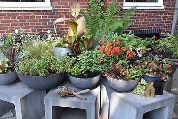 Sommerkontakttag - Het Tuinpad Op / In Nachbars Garten