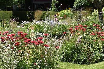 Sommerkontakttag - Het Tuinpad Op / In Nachbars Garten