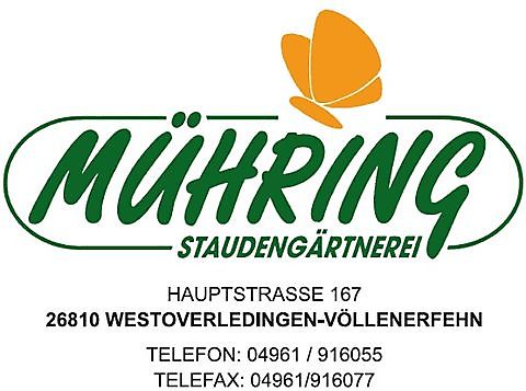 Mühring Staudengärtnerei Westoverledingen-Völlererfehn