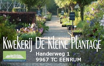 Kwekerij De Kleine Plantage Eenrum