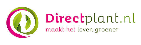 Directplant Bunnik
