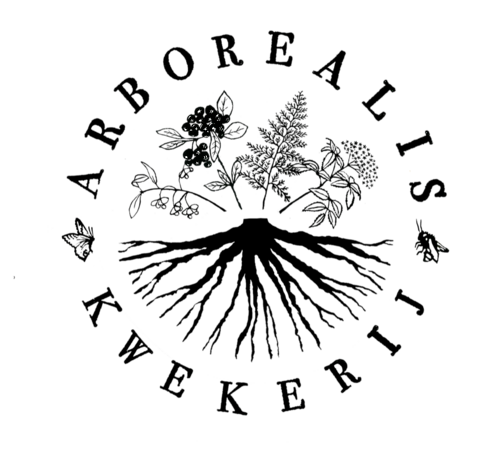 Kwekerij  Arborealis Wilhelminaoord