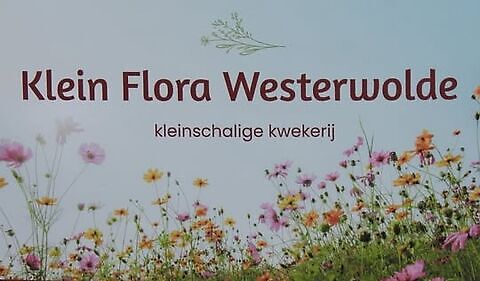 Klein Flora Westerwolde Sellingen