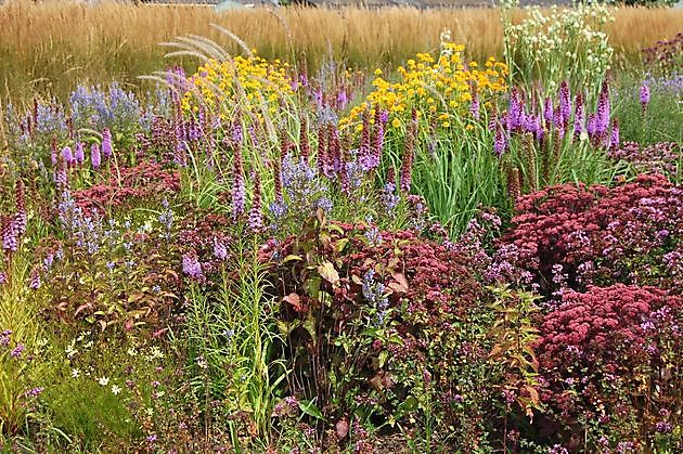  - Het Tuinpad Op / In Nachbars Garten