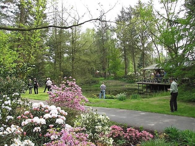 Arboretum Notoarestoen Eenrum