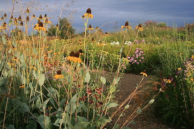  - Het Tuinpad Op / In Nachbars Garten