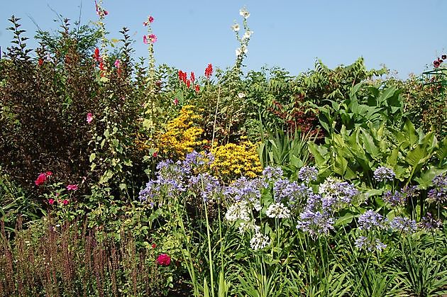 Vechtetal Garten Laar