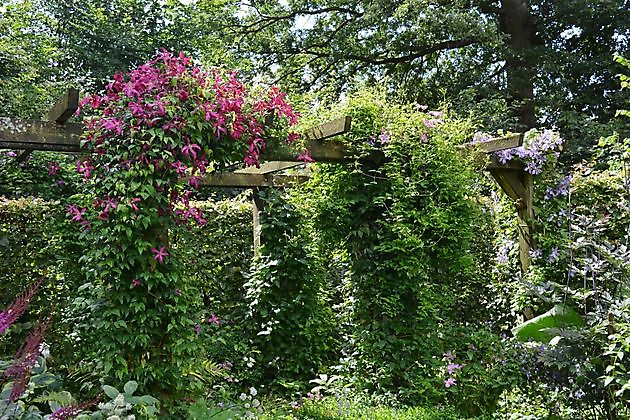 Garten Elke & Manfred Meins Rastede-Ipwege - Het Tuinpad Op / In Nachbars Garten