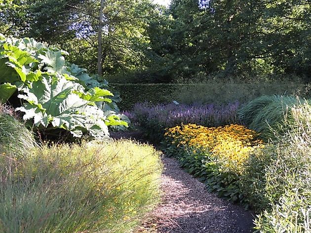 Beelden in Gees Gees - Het Tuinpad Op / In Nachbars Garten