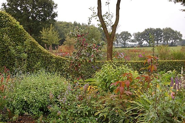 Roos van Hijken Hijken - Het Tuinpad Op / In Nachbars Garten
