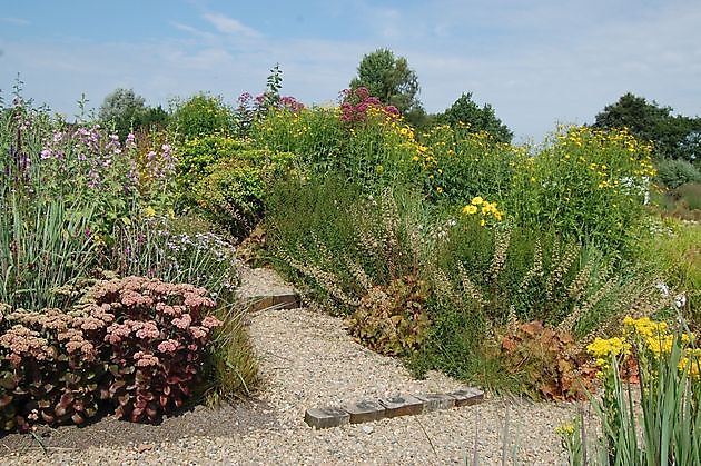  - Het Tuinpad Op / In Nachbars Garten