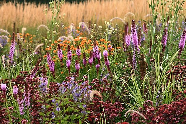  - Het Tuinpad Op / In Nachbars Garten