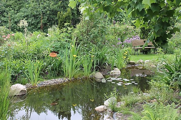 Stauden-Oase Ganderkesee-Bergedorf