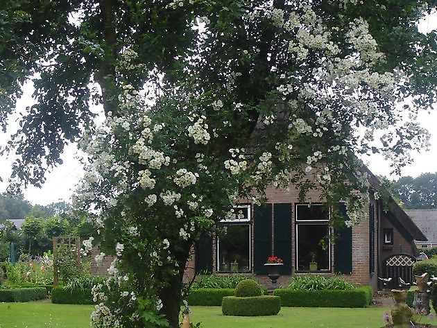 Roos van Hijken Hijken - Het Tuinpad Op / In Nachbars Garten