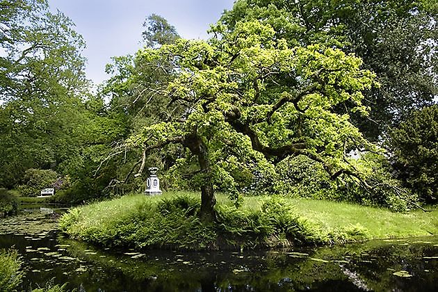 Lütetsburger Schlosspark Hage-Lütetsburg