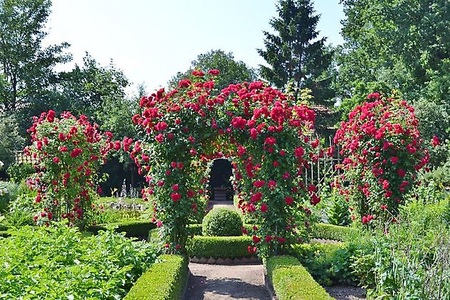 Bauerngarten des Heimatvereins Oberlangen Oberlangen