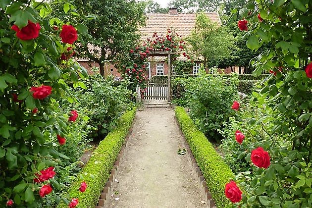 Bauerngarten des Heimatvereins Oberlangen Oberlangen