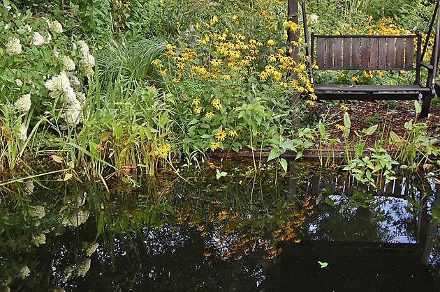 Wassergarten Ostrhauderfehn - Het Tuinpad Op / In Nachbars Garten