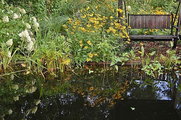 Wassergarten Ostrhauderfehn