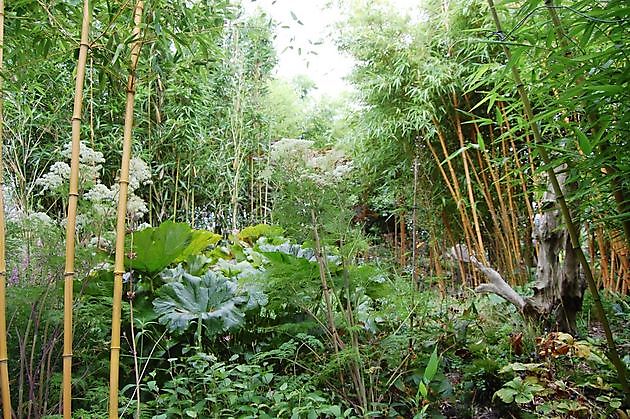 Kwekerij en Kijktuin Aan de Dijk Oudeschip