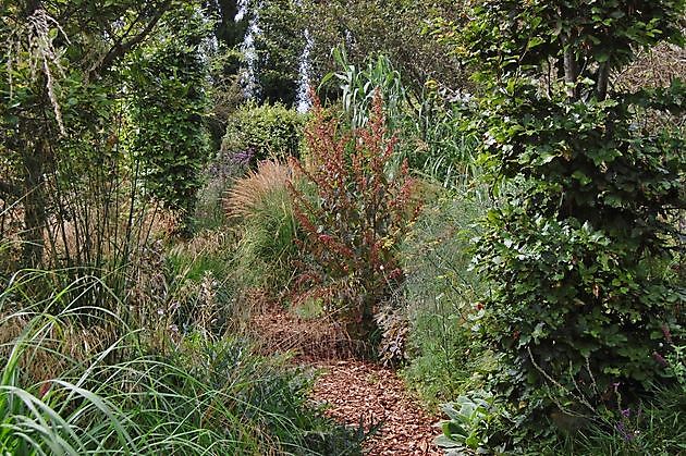 Kwekerij en Kijktuin Aan de Dijk Oudeschip