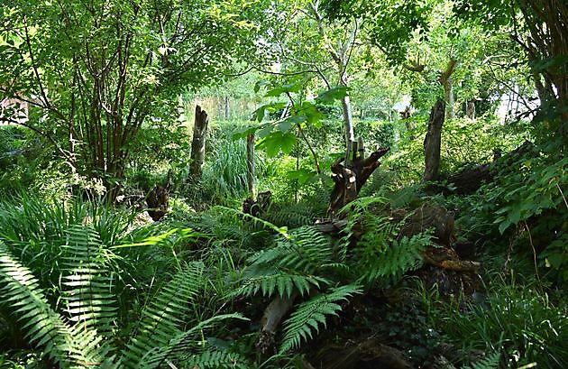 Kwekerij en Kijktuin Aan de Dijk Oudeschip