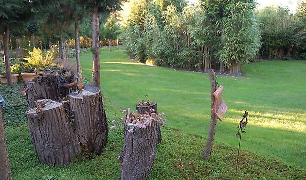  - Het Tuinpad Op / In Nachbars Garten