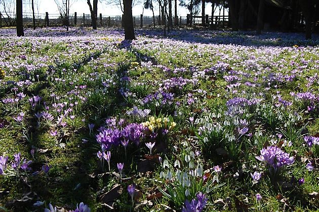 de appelhof in maart - The Stonefarm Stadskanaal