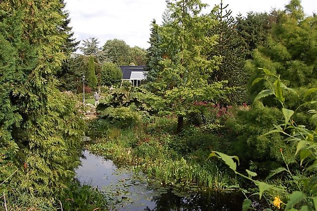 The Stonefarm Stadskanaal