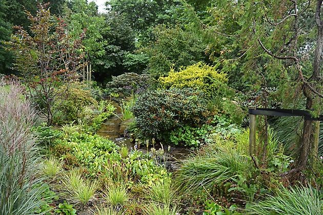  - Het Tuinpad Op / In Nachbars Garten