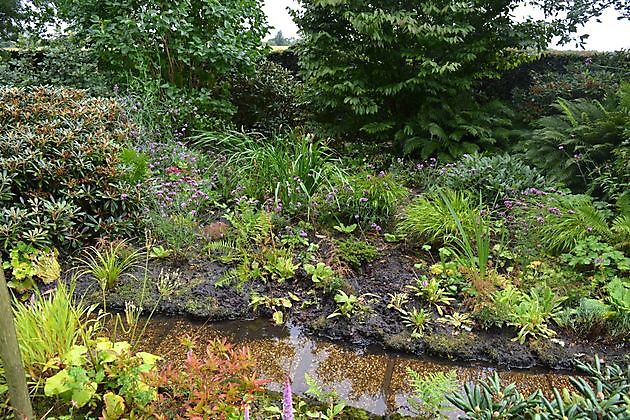 Arboretum Westeresch Vlagtwedde - Het Tuinpad Op / In Nachbars Garten