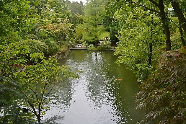  - Het Tuinpad Op / In Nachbars Garten