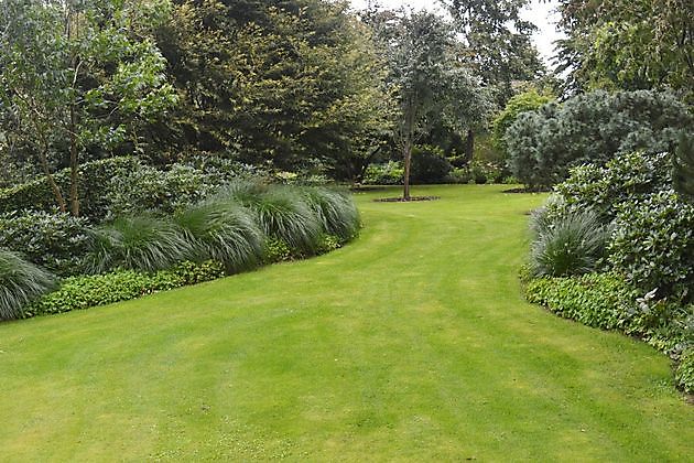 Arboretum Westeresch Vlagtwedde