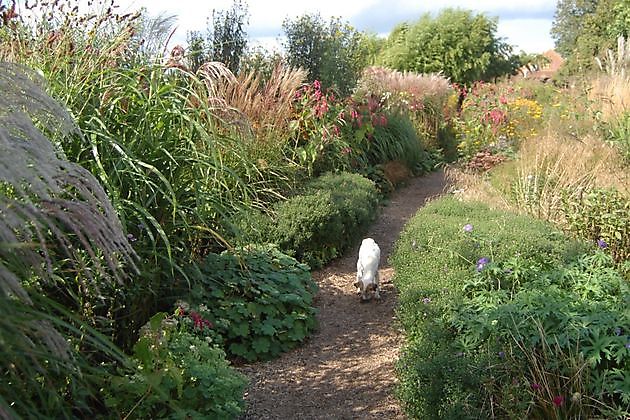  - Het Tuinpad Op / In Nachbars Garten