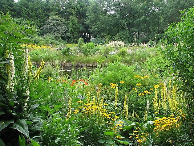 Jan Wilde een Tuin Westerlee