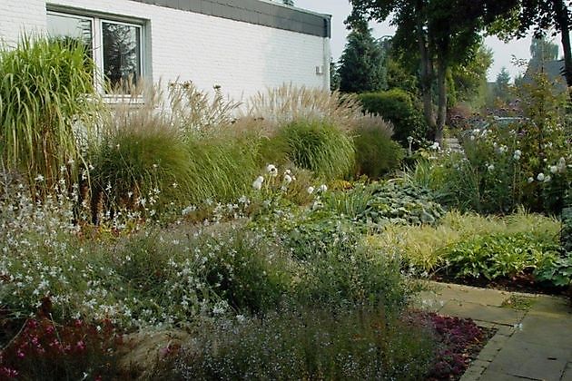  - Het Tuinpad Op / In Nachbars Garten