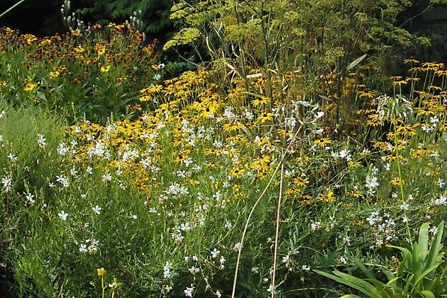 Garten Stolle Wiefelstede