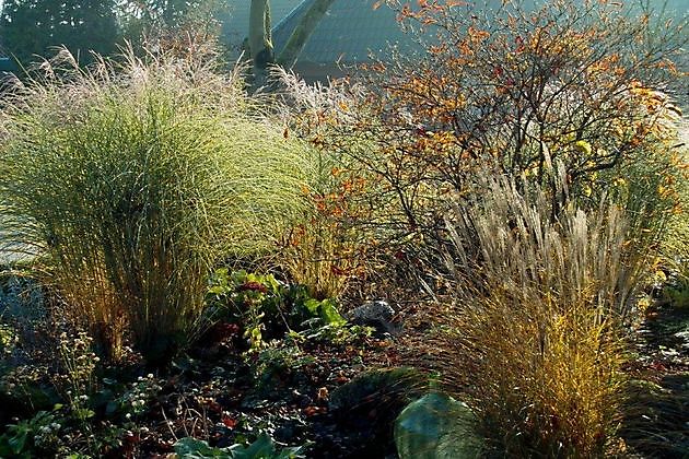 Garten Stolle Wiefelstede