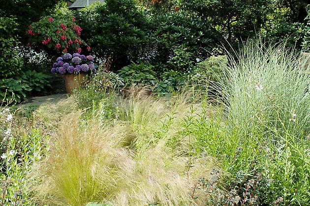 Garten Stolle Wiefelstede - Het Tuinpad Op / In Nachbars Garten