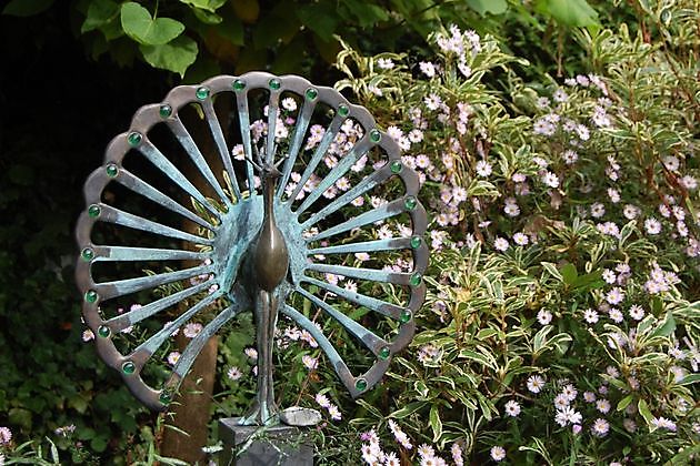 pauw van Loet van Veen - Het Tuinpad Op / In Nachbars Garten