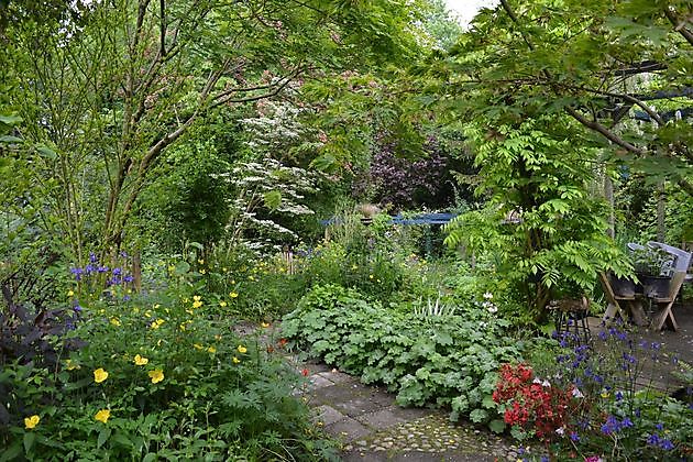 Wubsbos Winschoten - Het Tuinpad Op / In Nachbars Garten