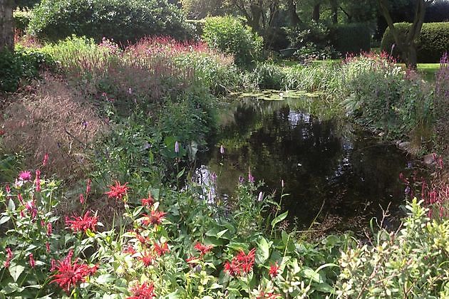 Tuin Chris Bruinsma Zuidwolde