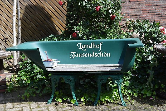  - Het Tuinpad Op / In Nachbars Garten