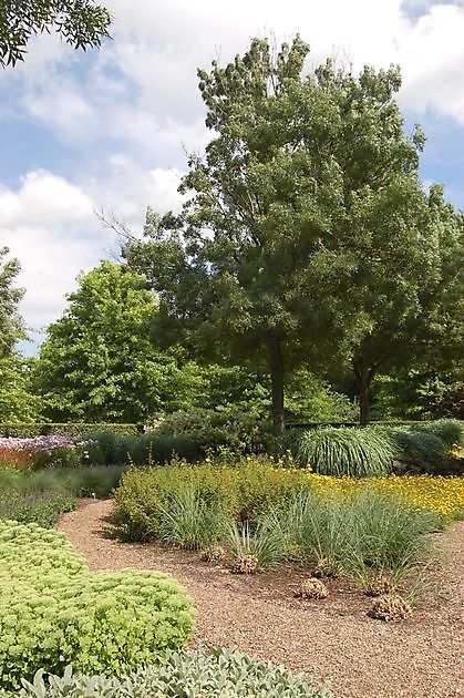 Beelden in Gees Gees - Het Tuinpad Op / In Nachbars Garten