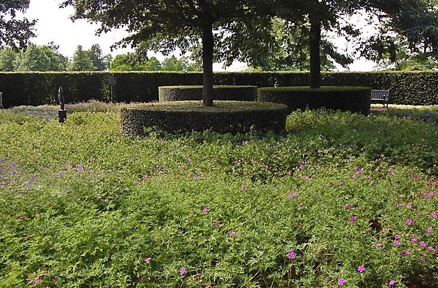 Beelden in Gees Gees - Het Tuinpad Op / In Nachbars Garten