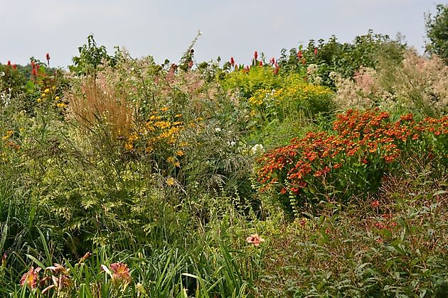 Vechtetal Garten Laar