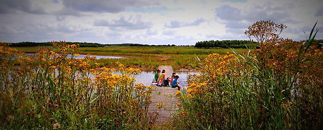 Heemtuin & Natuurpark TUSSEN DE VENEN Muntendam - Het Tuinpad Op / In Nachbars Garten